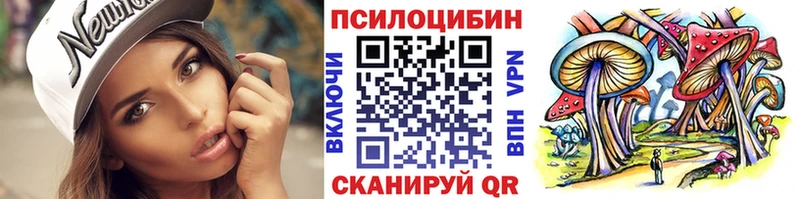 Галлюциногенные грибы ЛСД  как найти   Кедровый 